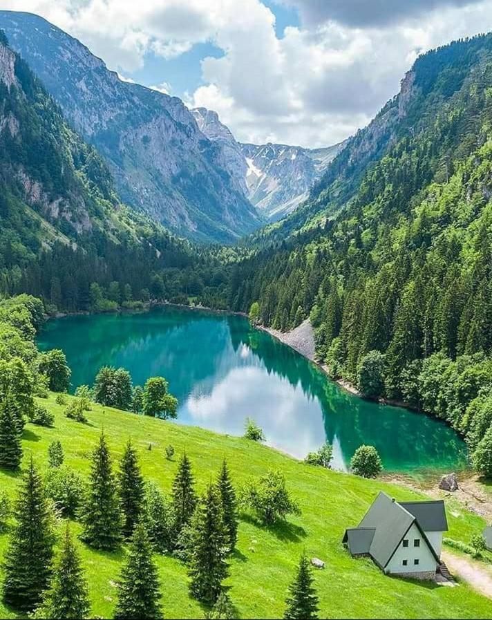 Cottage Borje Žabljak Εξωτερικό φωτογραφία